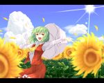  cloud clouds flower green_hair kazami_yuuka letterboxed red_eyes shimada_(simada_bu) short_hair solo sun sunflower touhou umbrella youkai 
