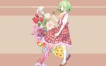  flower green_hair kazami_yuuka short_hair skirt skirt_set tagme touhou umbrella 
