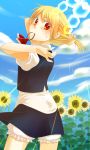  absurdres adjusting_hair alternate_hairstyle bad_id blonde_hair bloomers face flower hairdressing hands highres mouth_hold ponytail rumia shirane_koitsu solo sunflower syouji-fascism the_embodiment_of_scarlet_devil touhou youkai 
