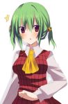  alternate_hairstyle emyu fujishiro_emyu green_hair kazami_yuuka red_eyes solo touhou twintails youkai 