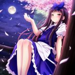  ayase_midori black_hair blush bow brown_eyes cherry_blossoms full_moon in_tree legs long_hair moon petals sitting sitting_in_tree smile solo star_sapphire touhou tree wings 