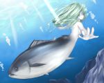  commentary_request fish green_eyes green_hair mermaid original solo underwater what 
