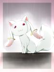  ikari_manatsu kyubey mahou_shoujo_madoka_magica no_humans pink_eyes rain red_eyes sitting solo tail wet 