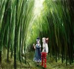  bamboo fujiwara_no_mokou hand_in_pocket highres kamishirasawa_keine multiple_girls nature pointing scenery touhou vellion00 walking 