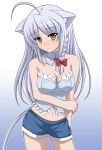  animal_ears bare_shoulders blush braid breasts bustier cat_ears cat_girl dog_days leonmitchelli_galette_des_rois lingerie long_hair navel short_shorts shorts silver_hair single_braid solo tail underwear vfenster yellow_eyes 