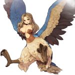  bird_wings breasts brown_eyes brown_hair claws cleavage dragon&#039;s_crown dragon's_crown harpy large_breasts light_smile long_hair monster_girl open_mouth simple_background wings 