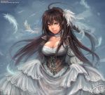  brown_eyes brown_hair cleavage copyright_request corset dansearl dress feathers hair_feathers long_hair skirt skirt_lift smile solo 