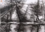  copyright_request lake monochrome photo_reference tree water yuanchosaan 