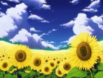  field flower no_humans scenery sky sunflower touhou wallpaper 