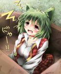  ahoge bell box breasts bunchin_(siso_junzy) collar fang girl_in_a_box green_hair highres in_box in_container kazami_yuuka kemonomimi_mode open_mouth red_eyes short_hair solo touhou undone undone_necktie youkai 