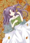  book clannad dress hair_bobbles hair_ornament ichinose_kotomi leaf long_hair lying patoto purple_hair smile two_side_up 