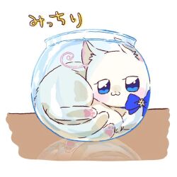  :3 animal blue_eyes blue_ribbon cat hoppetoonaka3 in_bowl in_container nekoyashiki_yuki nekoyashiki_yuki_(cat) no_humans precure reflective_surface ribbon white_cat wonderful_precure! 