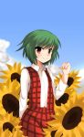  flat_chest flower green_hair kazami_yuuka meneru plaid plaid_skirt plaid_vest red_eyes skirt skirt_set sunflower touhou 