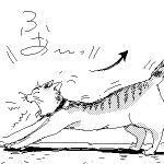  cat cat_focus commentary copyright_request lowres monochrome no_humans oekaki stretch waking_up yawning 