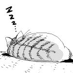  cat cat_focus commentary copyright_request lowres monochrome no_humans oekaki sleeping z 