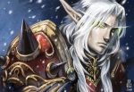  armor blood_elf glowing glowing_eyes green_eyes long_hair male mtfy paladin pointy_ears shoulderpads snowing solo spaulders warcraft white_hair world_of_warcraft 
