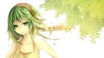  green_eyes green_hair gumi short_hair vocaloid 