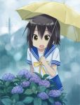  brown_hair fang flower highres hydrangea isou_nagi kusakabe_misao lucky_star rain school_uniform serafuku short_hair snail umbrella 