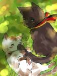  animal animalization axis_powers_hetalia black_cat black_cat_(animal) blue_eyes blush blush_stickers cat cat_focus closed_eyes eyes_closed flag_print german_flag germany_(hetalia) germany_(nekotalia) grass lowres lying male no_humans northern_italy_(hetalia) northern_italy_(nekotalia) on_back ribbon sitting tail whiskers 