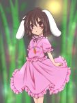  :&lt; animal_ears bamboo brown_hair bunny_ears dress inaba_tewi jewelry pendant red_eyes shierutei skirt skirt_set solo standing touhou 