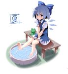  barefoot basin blue_eyes blue_hair blush bow cirno dress feet feet_in_water frog hair_bow hot pikazo simple_background sitting soaking_feet solo summer sweat touhou v_arms water wings 