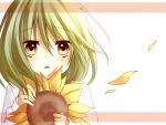  amene_kurumi blush brown_eyes flower green_hair kazami_yuuka open_mouth petals plaid plaid_vest solo sunflower touhou 