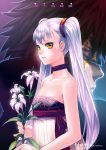  b.c.n.y. bcny flower hoshino_ruri kidou_senkan_nadesico kidou_senkan_nadesico_-_prince_of_darkness tenkawa_akito twintails white_hair yellow_eyes 