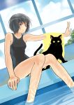  amagami bad_id black_eyes black_hair cat competition_swimsuit dutch_angle feet_in_water legs nanasaki_ai one-piece_swimsuit pool poolside puu_(amagami) school_uniform short_hair smile soaking_feet swimsuit towel water wet 
