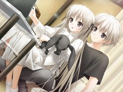  brother_and_sister brown_eyes bunny computer dress dutch_angle game_cg grey_eyes grey_hair hair_ribbon haruka_na_sora hashimoto_takashi highres kasugano_haruka kasugano_sora laptop long_hair rabbit ribbon siblings silver_hair sitting sitting_on_lap sitting_on_person twins very_long_hair yosuga_no_sora 