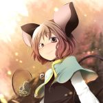  aki_(akikaze_asparagus) animal_ears basket bust capelet gem grey_hair jewelry mouse mouse_ears mouse_tail nazrin necklace pendant red_eyes short_hair silver_hair solo tail touhou 