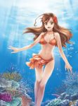  :d axis_powers_hetalia bikini bikini_skirt brown_eyes brown_hair bubble coral demmy fish flower freediving hair_flower hair_ornament long_hair navel o-ring_top open_mouth shell smile solo sunbeam sunlight swimsuit taiwan_(hetalia) underwater water 