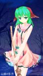  animal_ears broom dress green_hair josou_sanmyaku kasodani_kyouko 