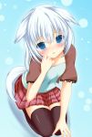  1girl animal_ears blue_eyes blue_hair blush obitsume_yukime original seiza short_hair sitting skirt small_breasts solo takataka thighhighs 