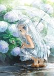  blue_eyes dress feet flower highres honma_meiko hydrangea janemere kneeling long_hair looking_back making_of sandals snail solo squatting tiptoes transparent_umbrella umbrella water_drop white_hair 