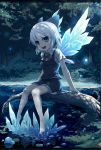  bare_legs barefoot blue_dress blue_eyes bow cirno dress forest frozen hair_bow ice ice_wings letterboxed nature night open_mouth pond ranka_(tonbo) shirt short_hair silver_hair sitting smile solo touhou water wings 