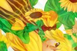  alternate_color alternate_hair_color blonde_hair bow dqn_(dqnww) dutch_angle flower hair_bow patchouli_knowledge payot solo striped sunflower touhou yellow_eyes 