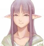  bad_id brown_eyes elf face long_hair original pointy_ears purple_hair tyamaguch 