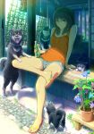  arm_support bare_shoulders black_hair blue_eyes bottle butterfly copyright_request crossed_legs dog drink flower haitaka legs_crossed light_smile looking_at_viewer plant porch potted_plant puppy sandals shade shiba_inu short_hair short_shorts shorts sitting solo sunlight veranda wind_chime 
