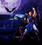  bat boots boxart brown_eyes brown_hair castle castlevania castlevania:_rondo_of_blood chain chains clenched_hands cloud dagger dracula eyes full_moon gargoyle headband ledge lightning mace male manly moon muscle night official_art raised_fist richter_belmondo rock short_hair water weapon whip 