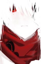  1girl alpha:_crimson_abyss_(pgr) alpha_(pgr) black_eyes blending closed_mouth commentary hair_between_eyes heterochromia hsbo_tns1 looking_at_viewer portrait punishing:_gray_raven red_eyes red_scarf scarf solo 