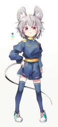  1girl :o alternate_costume animal_ears aqua_shoes black_jacket black_skirt black_thighhighs color_guide commentary_request full_body grey_hair highres jacket kibayashi_kimori looking_at_viewer mouse_ears mouse_girl mouse_tail nazrin red_eyes shoes simple_background skirt solo standing tail thigh-highs touhou white_background 