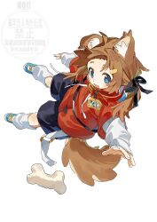  1girl :d absurdres ahoge animal_ears black_shorts blue_eyes blue_shoes blush bone brown_hair collar commentary_request deitaku dog_ears dog_girl dog_tail fang full_body hair_ornament hairclip highres layered_sleeves long_hair long_sleeves mamehinata open_mouth red_collar red_shirt shirt shoes short_over_long_sleeves short_sleeves shorts simple_background skin_fang smile socks solo tail vrchat watermark white_background white_socks 