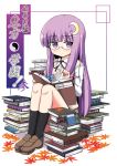  book glasses loafers long_hair patchouli_knowledge purple_eyes purple_hair shoes solo touhou violet_eyes yukimaru_rin 