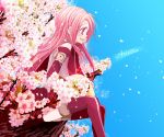  asrhion cherry_blossoms long_hair petals pink_eyes pink_hair profile purple_legwear sitting smile solo tales_of_(series) tales_of_the_abyss thigh-highs thighhighs tree 
