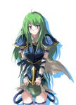  blue_eyes blush echizen fire_emblem fire_emblem:_souen_no_kiseki green_hair headwear_removed helmet helmet_removed long_hair nephenee no_hat no_helmet smile solo 