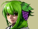  food fruit grapes green_eyes green_hair highres original simple_background solo takauma 