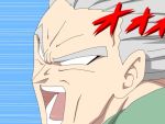  broly dragon_ball konpaku_youmu parody shirosato silver_hair touhou translated 