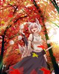  animal_ears bare_shoulders blush bridal_gauntlets daburu detached_sleeves forest hat highres inubashiri_momiji leaf maple_leaf nature open_mouth red_eyes short_hair silver_hair solo sword tail tokin_hat touhou weapon wolf_ears wolf_tail 