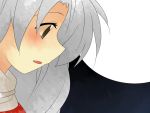  aenobas bad_id brown_eyes close-up comic grey_hair hammer_(sunset_beach) long_hair moon silent_comic solo touhou yagokoro_eirin 