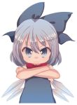  :3 blue_eyes blue_hair bow bust child cirno cream_(nipakupa) crossed_arms hair_bow ice ice_wings large_bow looking_at_viewer short_hair simple_background solo touhou wings 